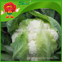 Fresh cauliflower